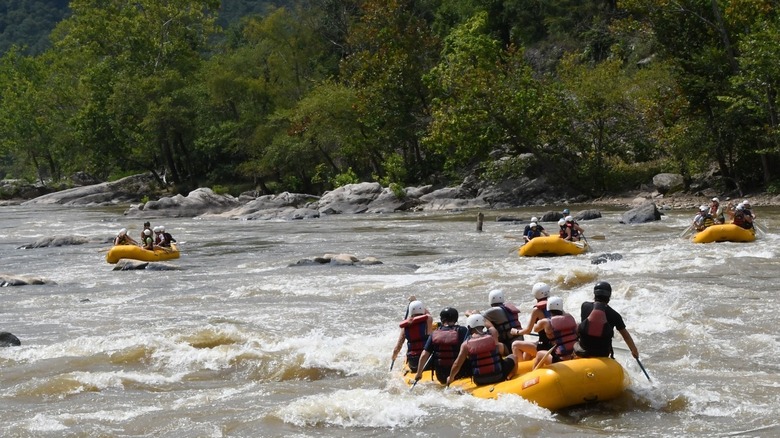 A group is whitewater rafting on the French Broad River in Marshall, North Carolina