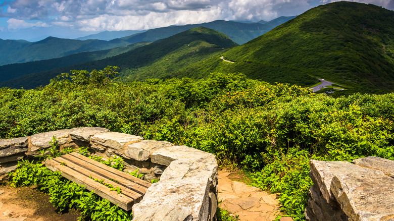 Craggy Pinnacle summit overlook with Appalachian views