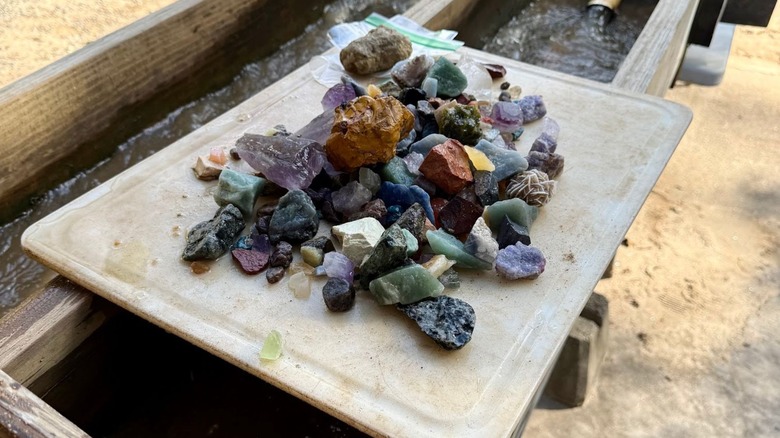 A collection of rocks that were found from the sluice process at Rockhound Ridge