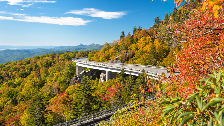View of fall foliage near Linville, North Carolina