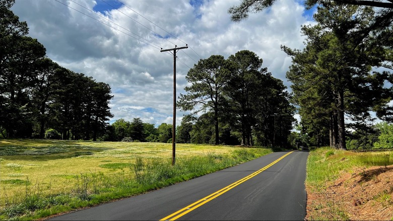 A two-lane road in Whynot, North Carolina surrounded by trees