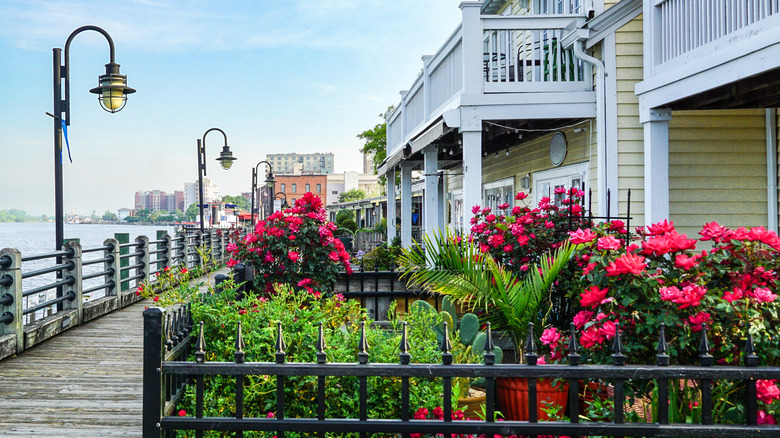 The charming riveralk in Wilmington