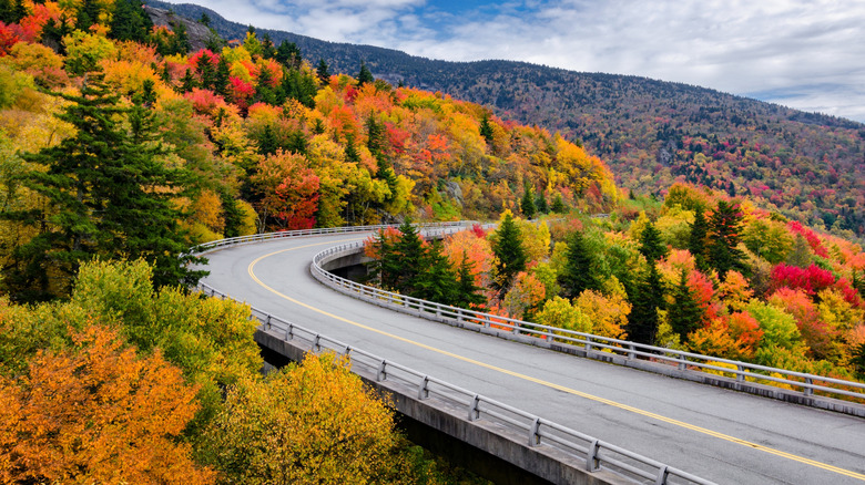Winding road on the Blue Ridge Parkway in North Carolina during the Fall season.