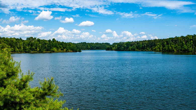 A photo of Randleman Lake.