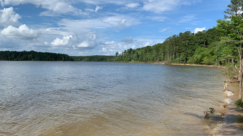 Beach at Falls Lake Recreation Area near Durham, North Carolina