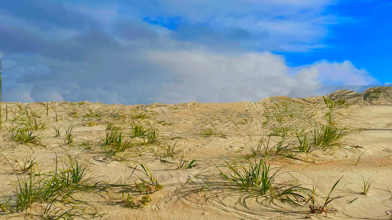 Dunes at Emerald Isle, a town on Bogue Banks