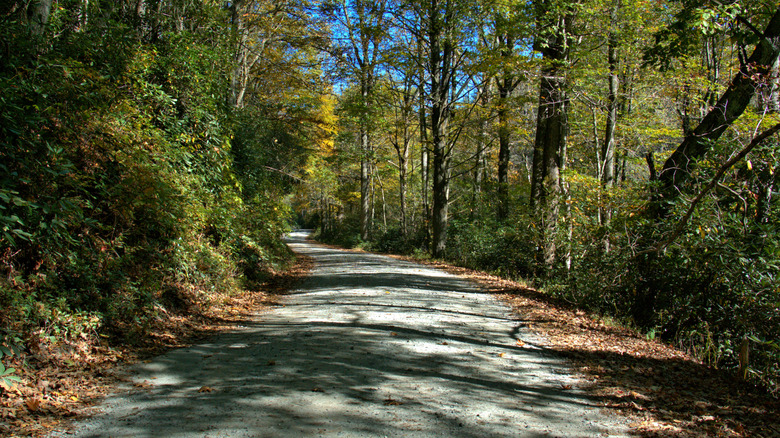 trail near waterfalls, North Carolina