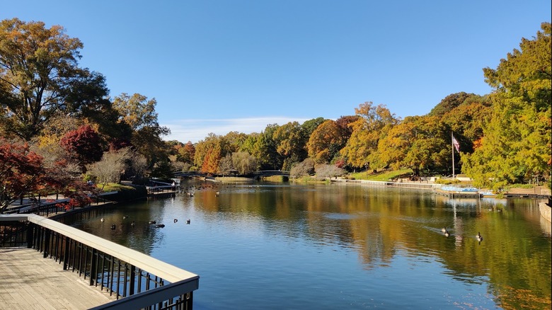 Lake surrounded by trees in Pullen Park, Raleigh, North Carolina