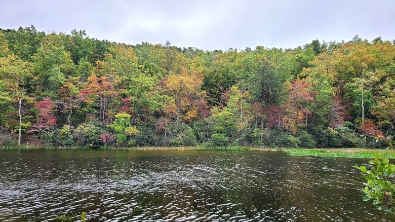 Hanging Rock State Park