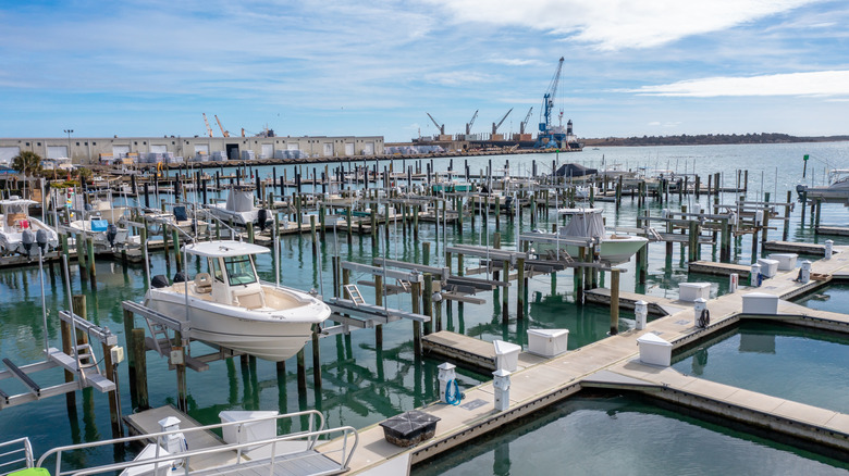 Morehead City Marina in daylight