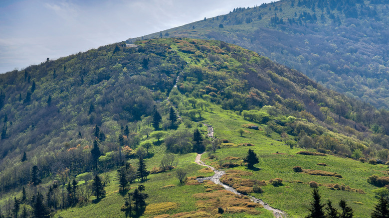 View of the Appalachian Trail from Round Bald