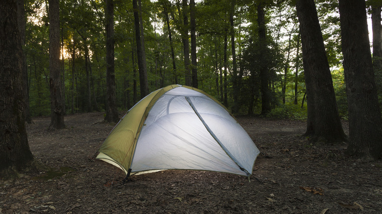 Tent camping in Uwharrie National Forest