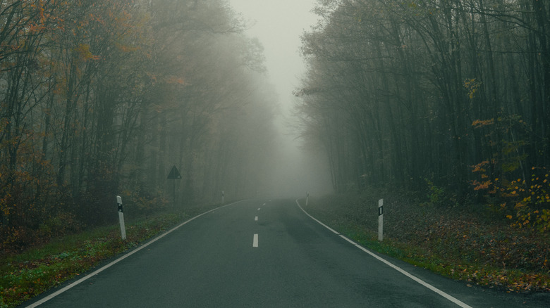 A spooky, misty road