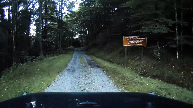 Heintooga Round Bottom Road, Great Smoky Mountains National Park, North Carolina