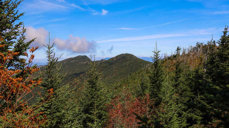 Cattail Peak on the Black Mountain Crest Trail, North Carolina