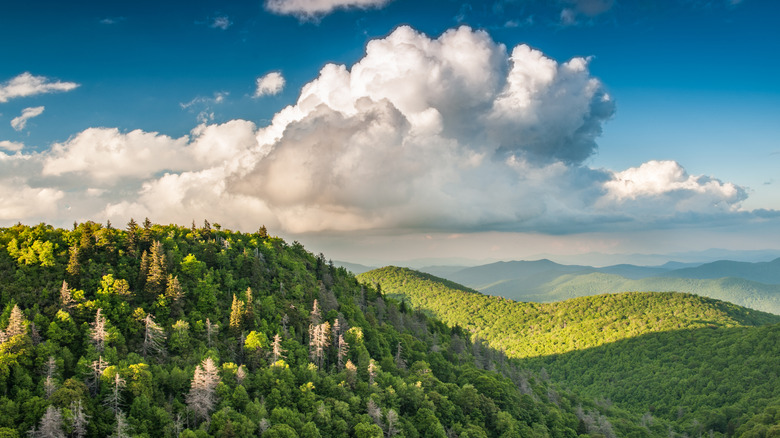 Views from Black Mountain Crest Trail, North Carolina