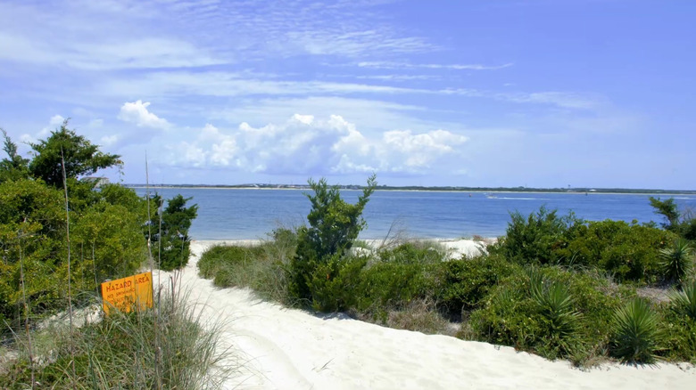 part of the Elliot Coues Trail leading out onto the beach at Fort Macon State Park on a clear day