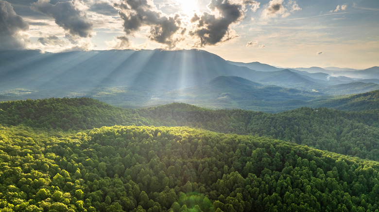 A view of Mount Mitchell State Park at dawn