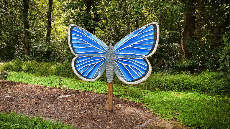 Smith River Greenway Butterfly Walk in Eden