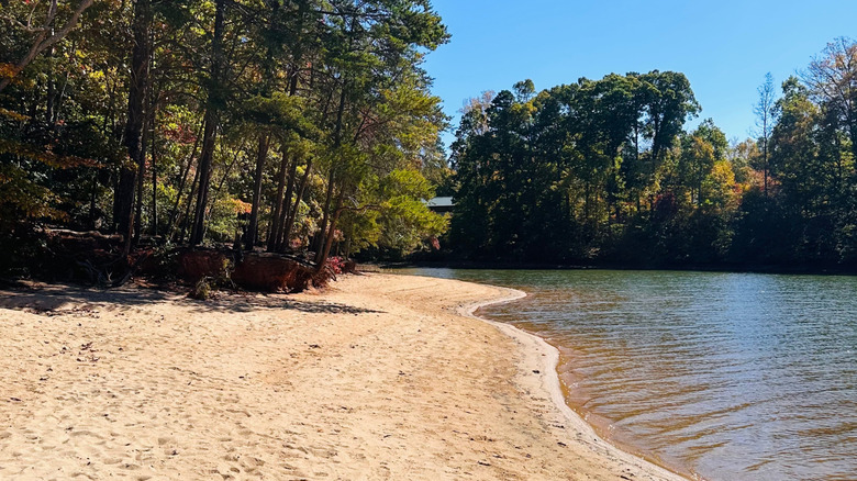 Sand shoreline at Lake Norman State Park