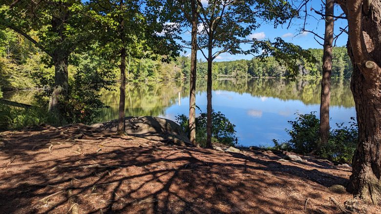 View of Lake Norman in its eponymous State Park in North Carolina