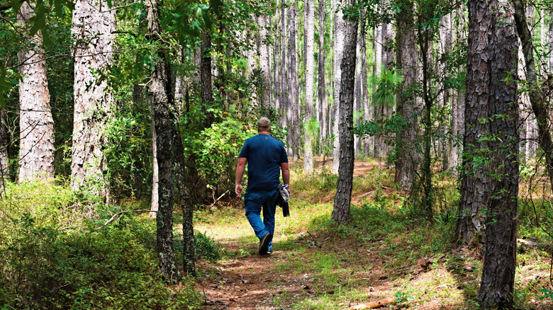 A hiker on a wooded trail at Bladen Lakes State Forest, NC