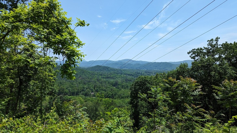 Collier Cover Nature Preserve in Arden, NC