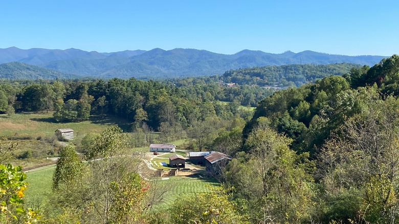 Forests and mountains from Bailey Mountain, Mars Hill, NC
