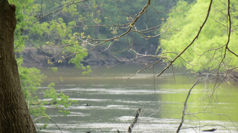 Neuse River, Kinston, North Carolina
