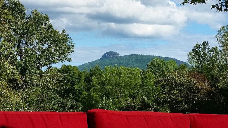 The view of Pilot Mountain from JOLO Vineyards
