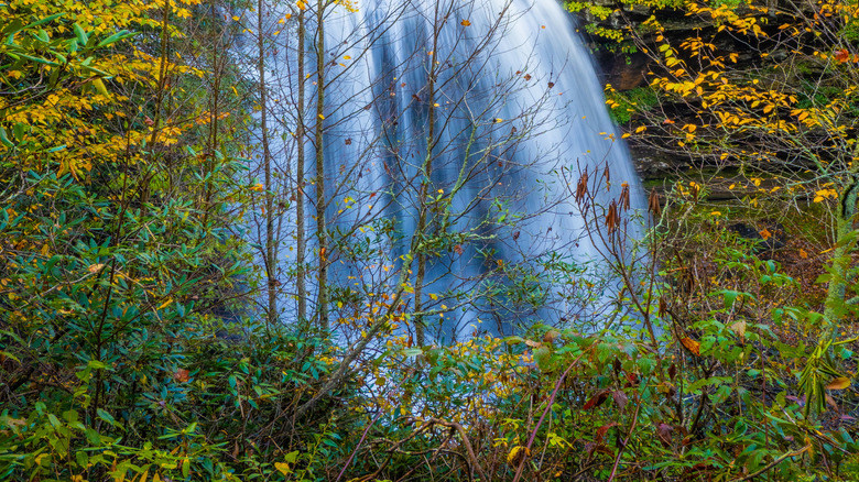 Dry Falls in the Nantahala National Forest