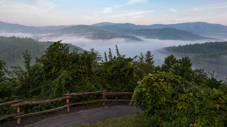 A trail in the Cataloochee Valley in the Great Smoky Mountains