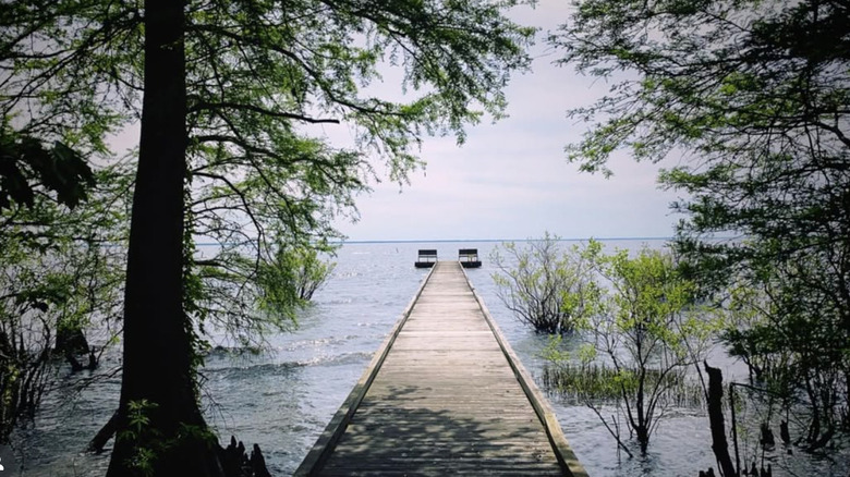 pontoon at pettigrew state park