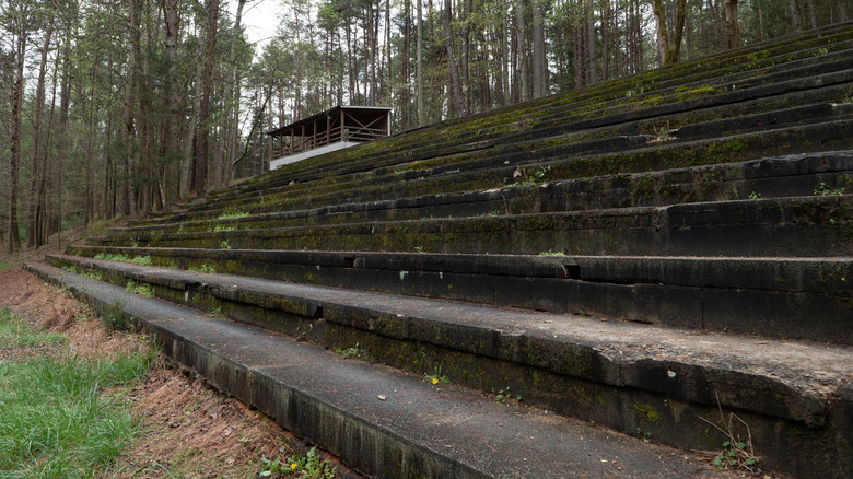 Concrete bleachers gather moss at the former Occoneechee Speedway