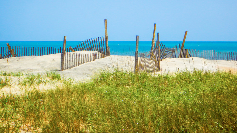 An image of the dunes and grass in front of a turquoise beach