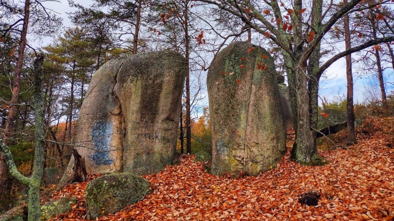 Two large smooth round boulders in pile of orange fall leaves Dunn's Mountain Park
