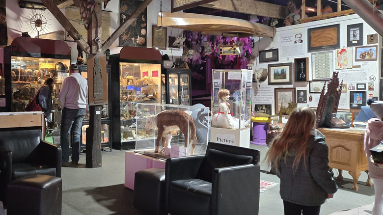 Various exhibits on display at the Museum of the Bizarre in Wilmington, NC