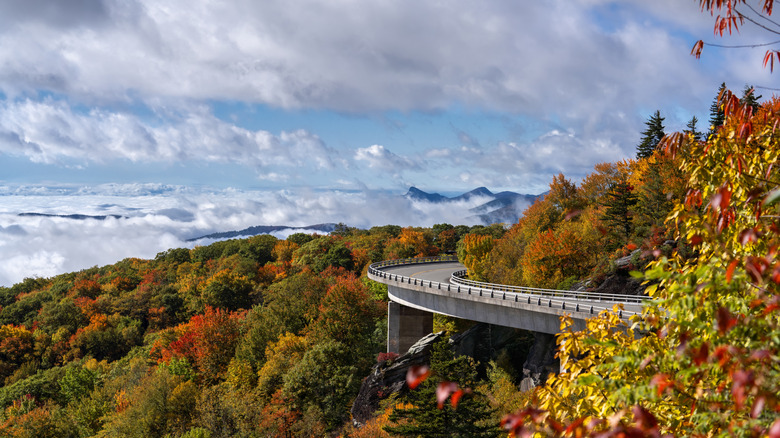 Fall foliage surrounds the Linn Cove Viaduct on Blue Ridge Parkway near Asheville, North Carolina