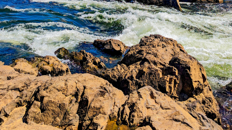 rocky terrain and moderate currents of Lake Roanoke in Weldon, North Carolina