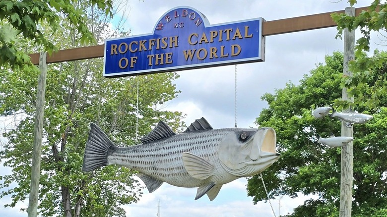 Weldon, North Carolina welcome sign saying "Rockfish Capital of the World"