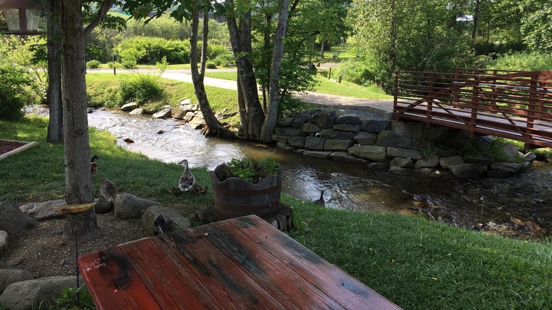 Outdoor seating area at Kaye's Kitchen, featuring a picnic table beside a small creek, shaded trees, ducks, and a wooden footbridge