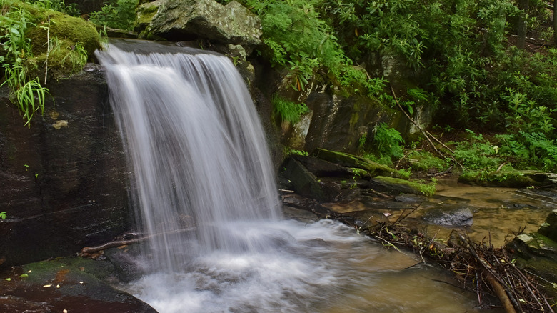Waterfall in Waterfalls Park in Newland, North Carolina