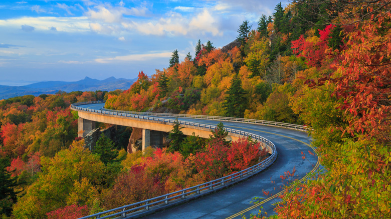 The Blue Ridge Parkway winds through the mountains with autumn colors and blue vibrant skies.