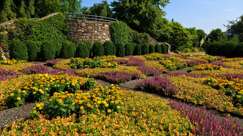 Flowers in the North Carolina Arboretum