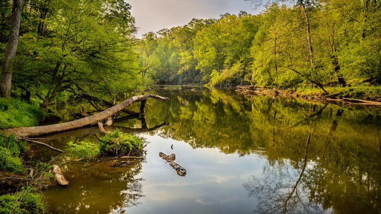 A quiet spot on the Eno River to go fishing or paddling in Eno River State Park, North Carolina