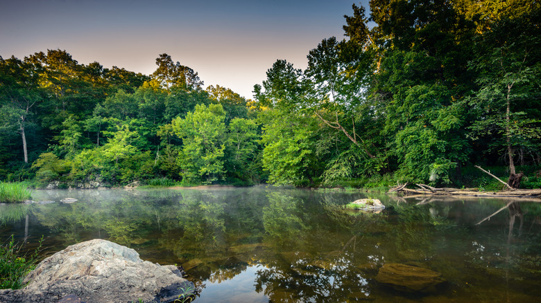 A view of the water and forest in Eno River State Park in Durham and Orange Counties of North Carolina