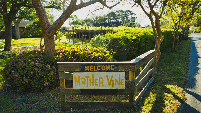 Entrance sign to the Mother Vine on Roanoke Island