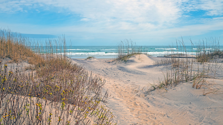 North Carolina's Outer Banks, a popular beach destination