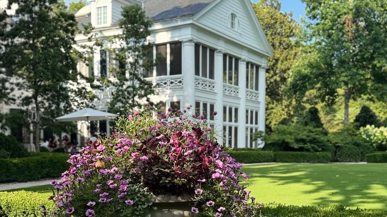 Exterior of gardens near Duke Mansion
