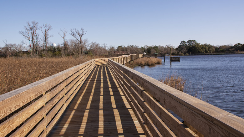 Marshland walkway along the Neuse River in New Bern, North Carolina
